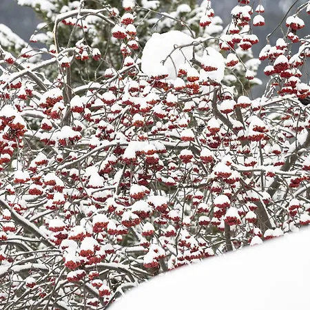 Chasa Serras - Doepper * Scuol