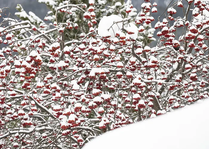 Chasa Serras - Doepper * Scuol